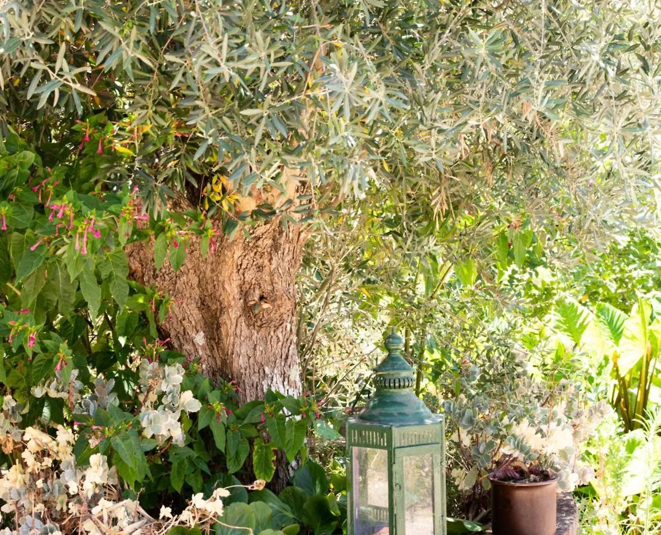 Casa Spa D'Alma Monchique Bed & Breakfast