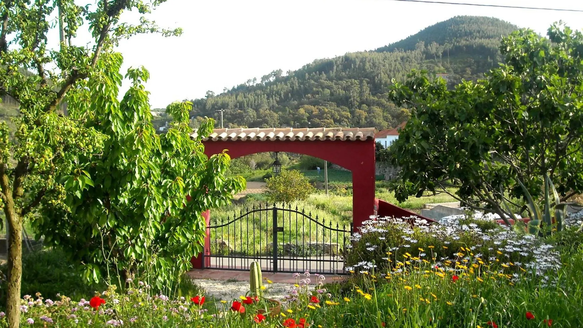 Bed & Breakfast Casa Spa D'Alma Monchique