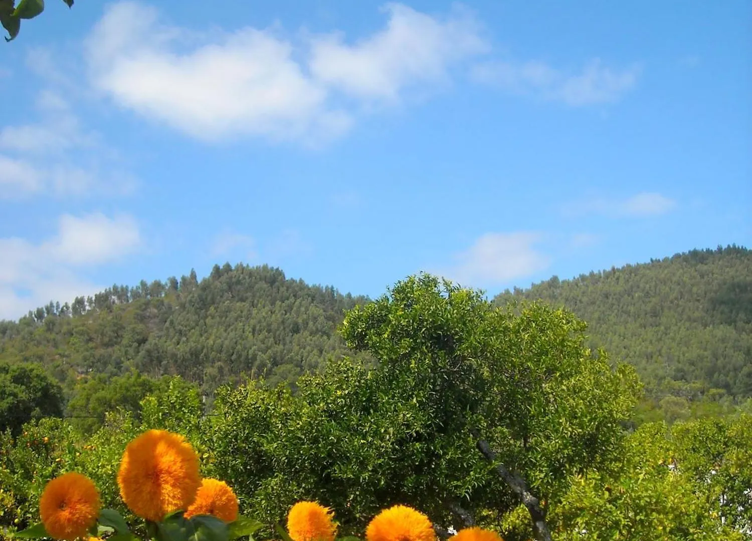 Casa Spa D'Alma Monchique Portugal